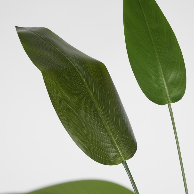 edg enzo de gasperi edg enzo de gasperi strelizia con vaso x26 pianta artificiale h 184 cm verde ean 8059824497963