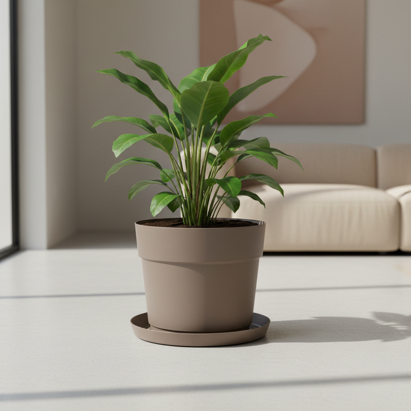 Interno living moderno