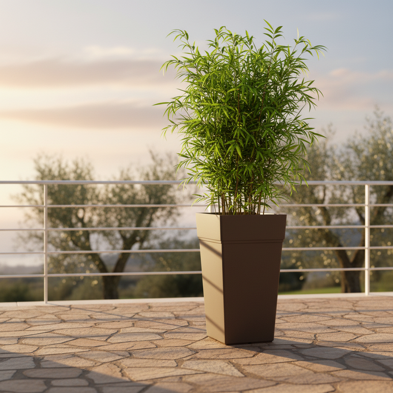 Scena 1 – Terrazza mediterranea, colonna Bruno con bambù