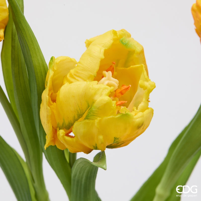 edg enzo de gasperi edg enzo de gasperi bouquete tulipano parrot x3 h 40 cm con bocciolo giallo ean 8059824612663