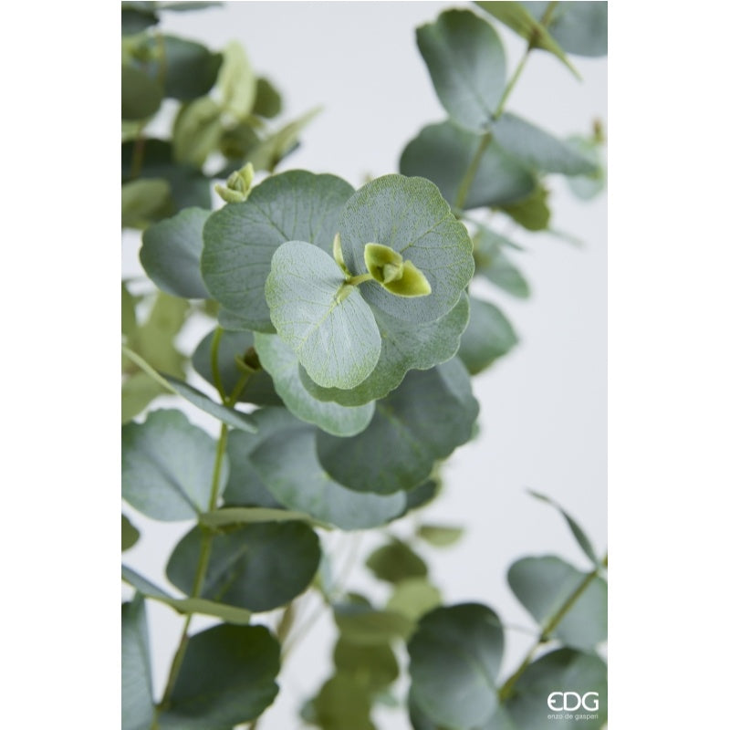 edg enzo de gasperi edg enzo de gasperi eucalipto con vaso h 210 cm pianta artificiale verde ean 8059824607461