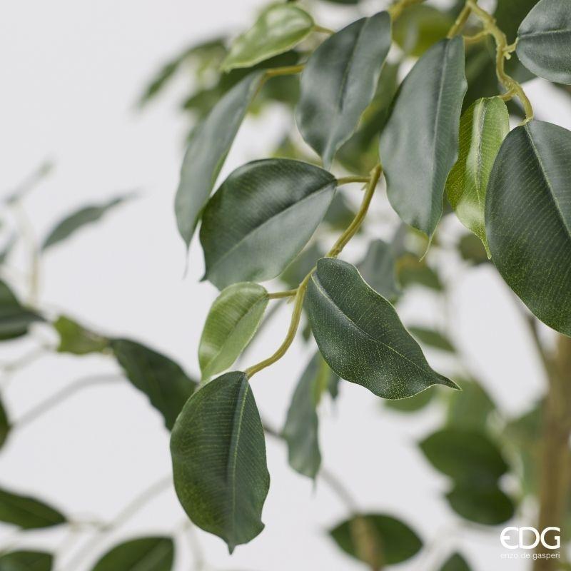 edg enzo de gasperi edg enzo de gasperi pianta artificiale ficus beniamino vogue con vaso h180 cm pianta decorativa realistica design moderno ean 8059824655073