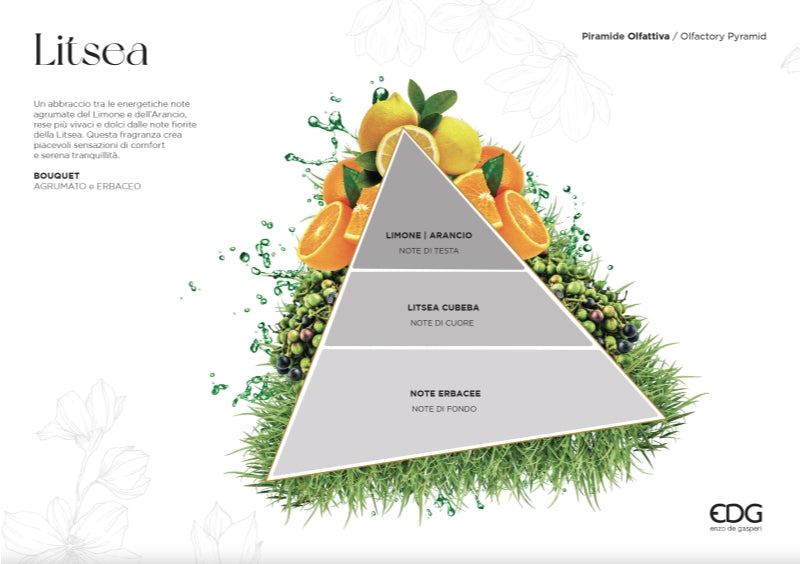 edg enzo de gasperi edg enzo de gasperi profumatore bottiglia 100 ml con bastoncini litsea ean 8059824067869