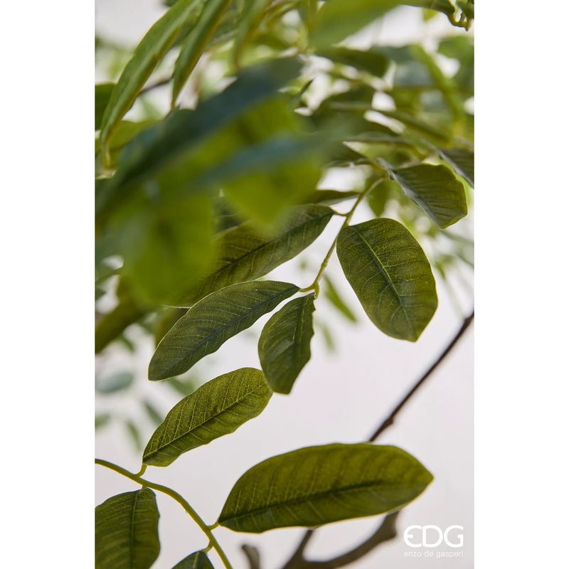 edg enzo de gasperi edg enzo de gasperi aralia vogue con vaso pianta artificiale h 230 cm verde ean 8059824607362