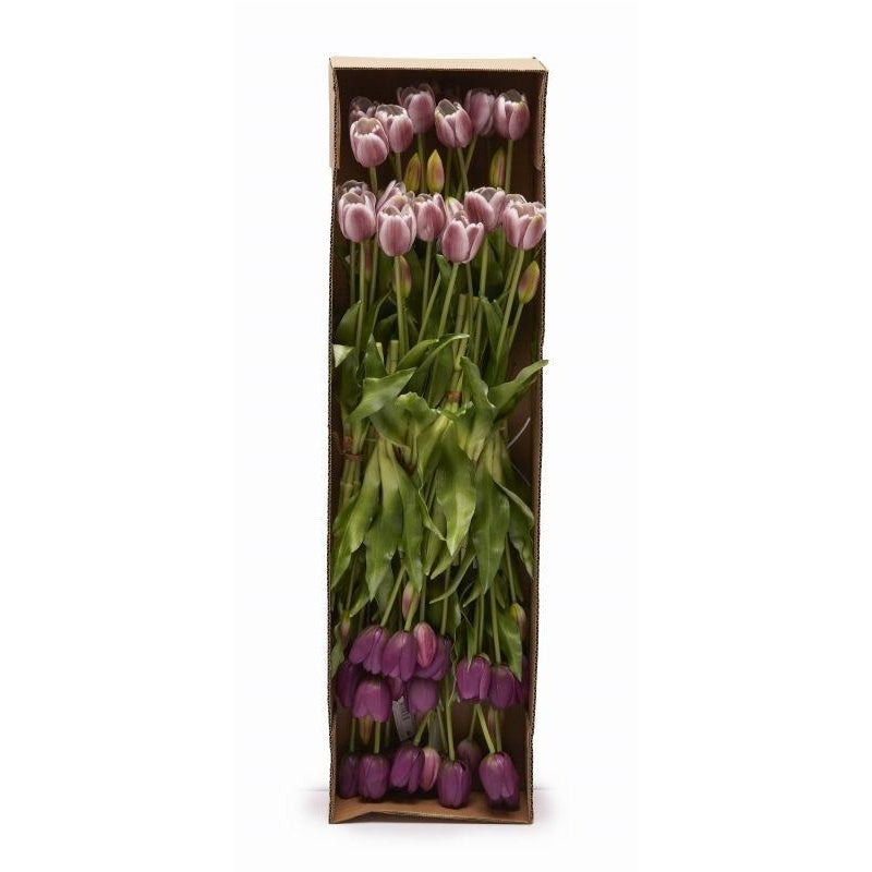 edg enzo de gasperi edg enzo de gasperi bouquet di 5 tulipani chiusi gomma olis ass h 40 cm lilac 1 pz ean 8059824081865