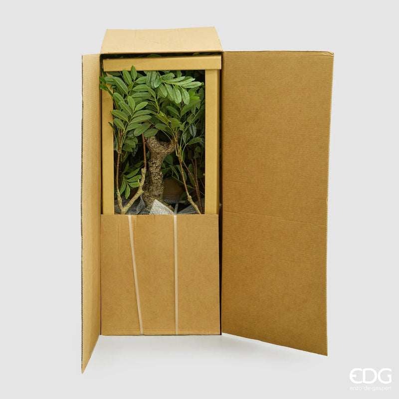 edg enzo de gasperi edg enzo de gasperi aralia vogue con vaso pianta artificiale h 230 cm verde ean 8059824607362