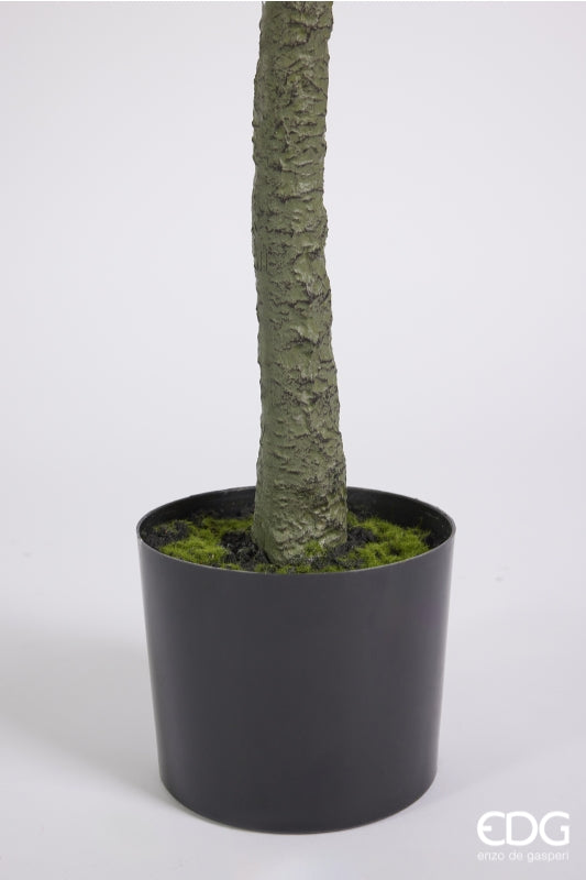 edg enzo de gasperi edg enzo de gasperi olivo con vaso h 190 cm pianta artificiale verde ean 8059824378644