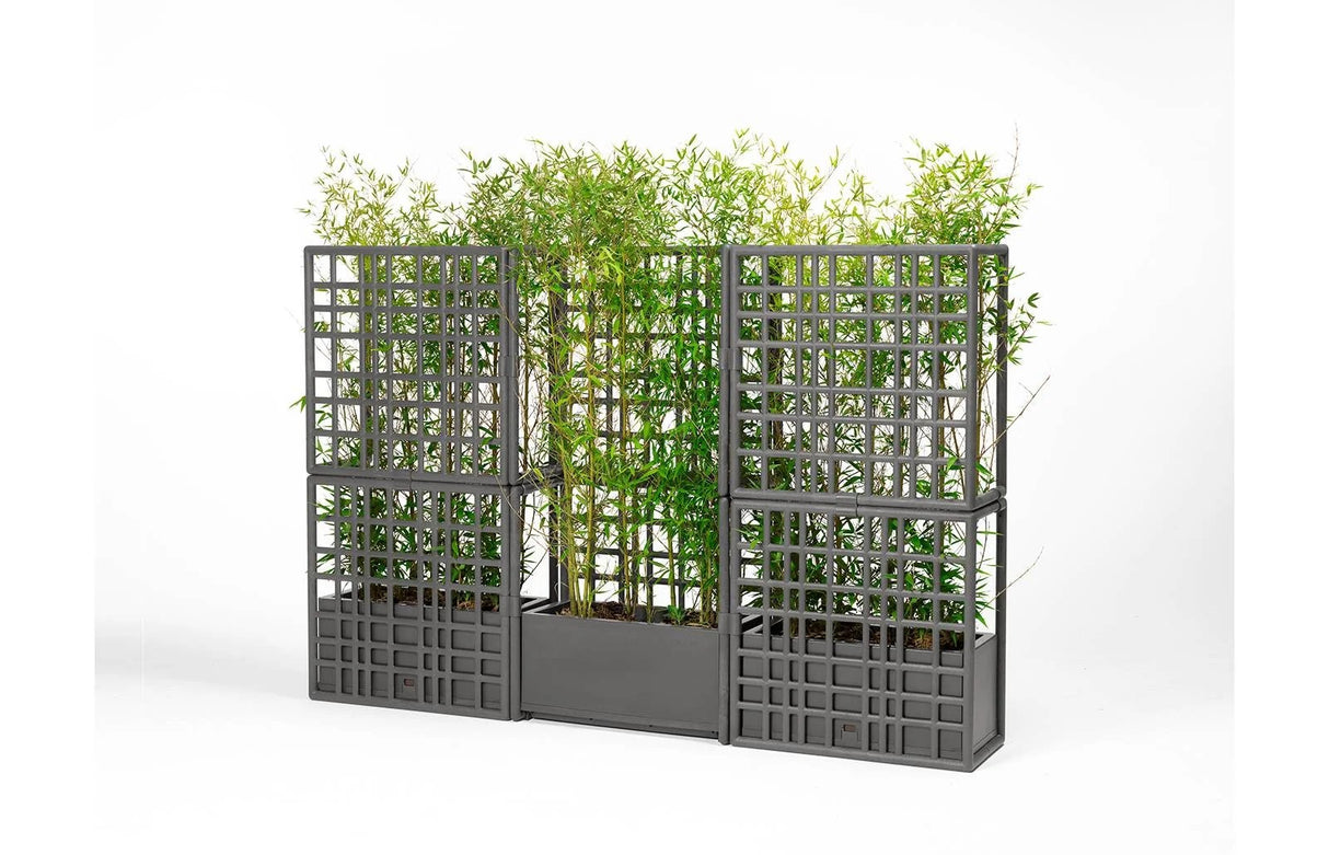 immagine-5-nardi-sipario-2-cactus-con-fioriera-auto-irrigante