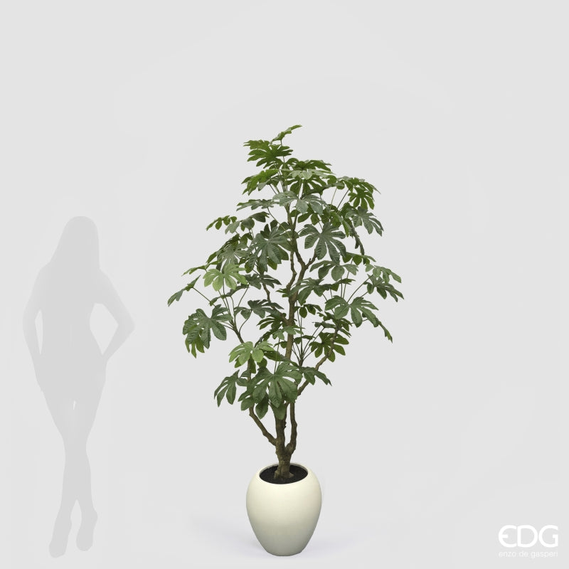 edg enzo de gasperi edg enzo de gasperi aralia vogue con vaso pianta artificiale h 230 cm verde ean 8059824607362