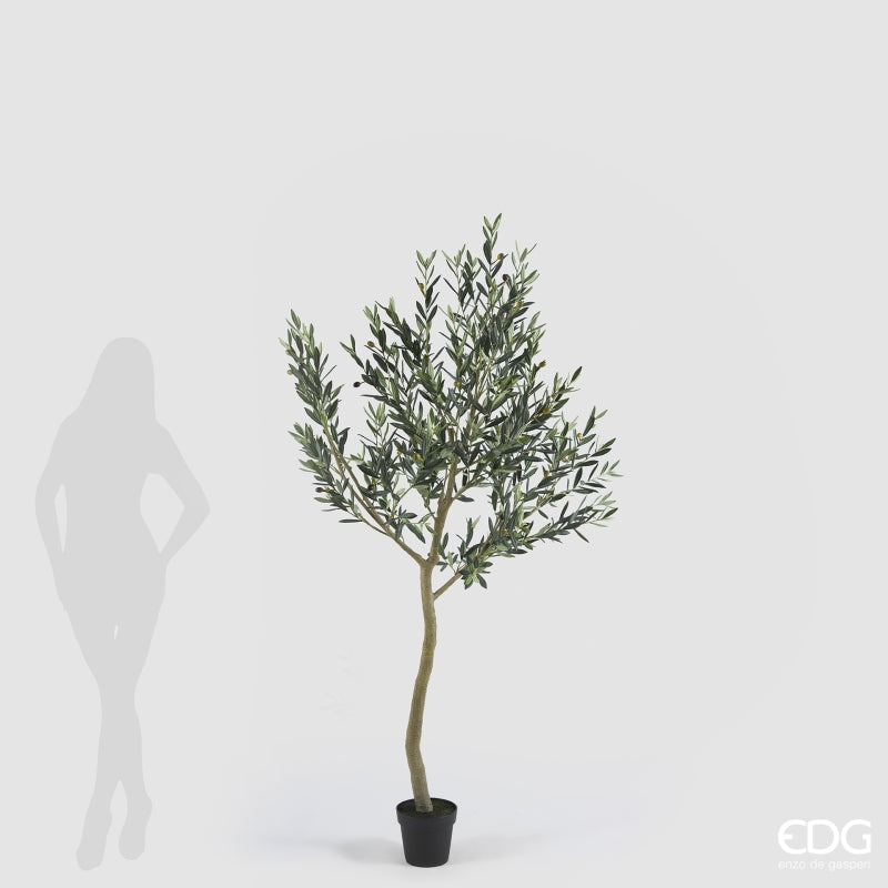 edg enzo de gasperi edg enzo de gasperi olivo con vaso h 200 cm pianta artificiale anti uv verde ean 8059824607607