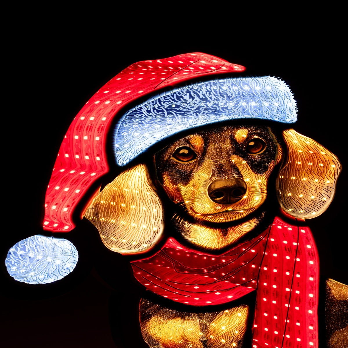Bizzotto Cane con Sci Luminoso H 39 cm con 207 LED IP20 Decorazione Natalizia