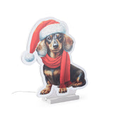 Bizzotto Cane con Sci Luminoso H 39 cm con 207 LED IP20 Decorazione Natalizia
