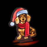 Bizzotto Cane con Sci Luminoso H 39 cm con 207 LED IP20 Decorazione Natalizia