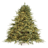 Bizzotto Albero di Natale Ritter H 270 cm con 6011 Rami e 10000 LED