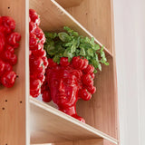 Vase à tomates EDG Enzo De Gasperi Chakra H 29 cm L 28 cm L 24 cm Couleur rouge et vert