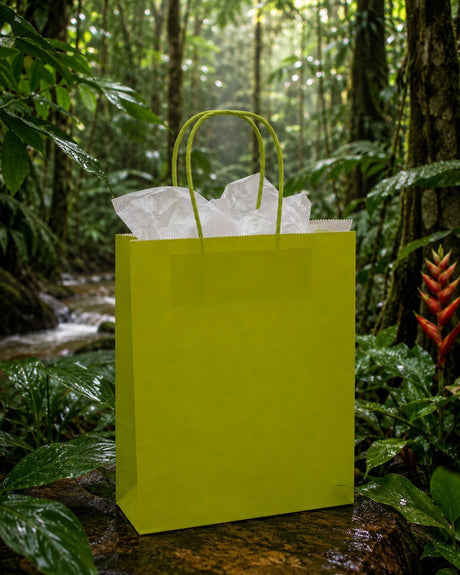 Le Sac Shopper Kraft Lime L'Arcolaio Cadeaux de Noël 54X14X45 Cm Cf 10 Pz