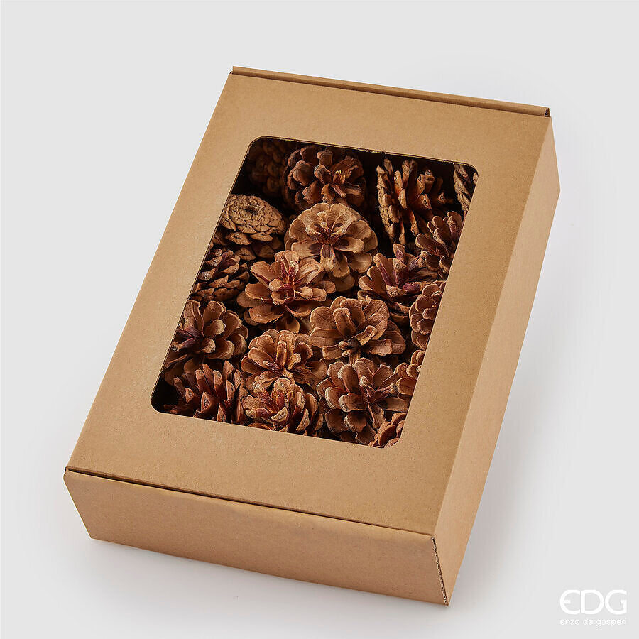 EDG Enzo De Gasperi Set 48 Pigne di Pino Decorative H4 cm Marrone – Decorazioni Natalizie