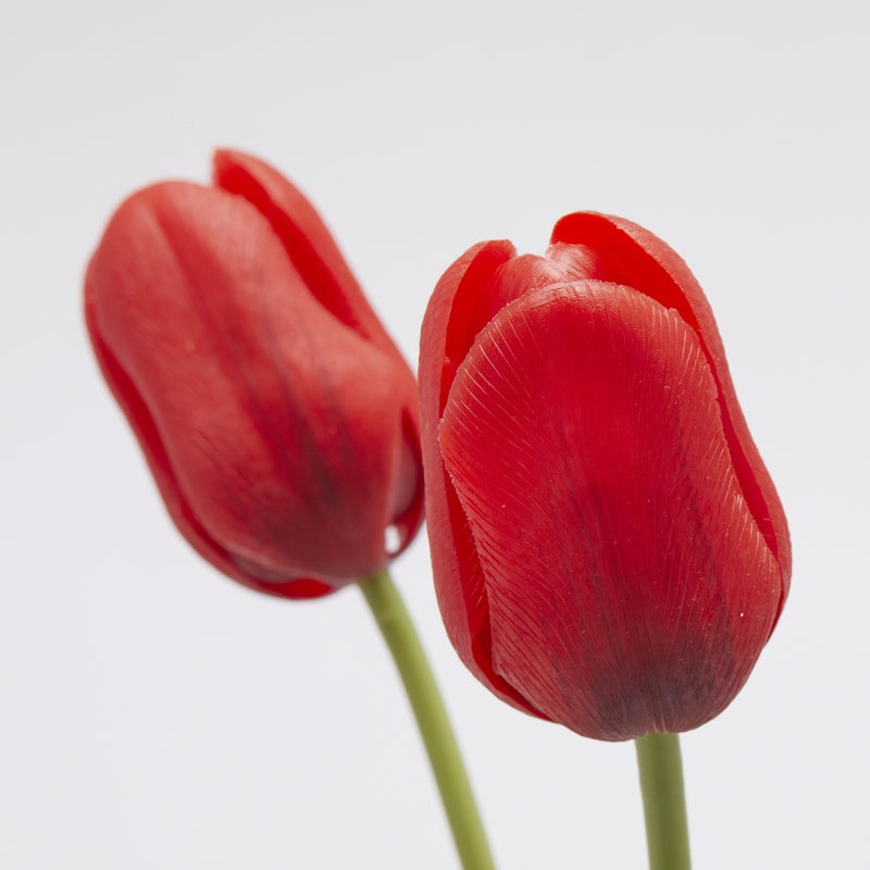 Bouquet EDG Enzo De Gasperi 5 Tulipes avec Feuilles H 48 Cm Rouge
