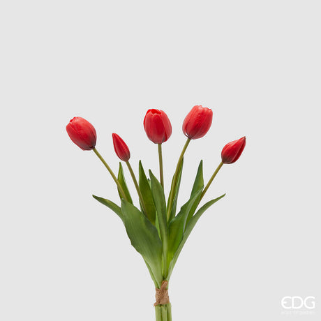 edg enzo de gasperi bouquet 5 tulipani con foglie h 40 cm red ean 8059824440372