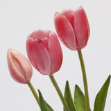 edg enzo de gasperi edg enzo de gasperi bouquet 5 tulipani con foglie artificiali h 40 cm dark pink ean 8059824440419