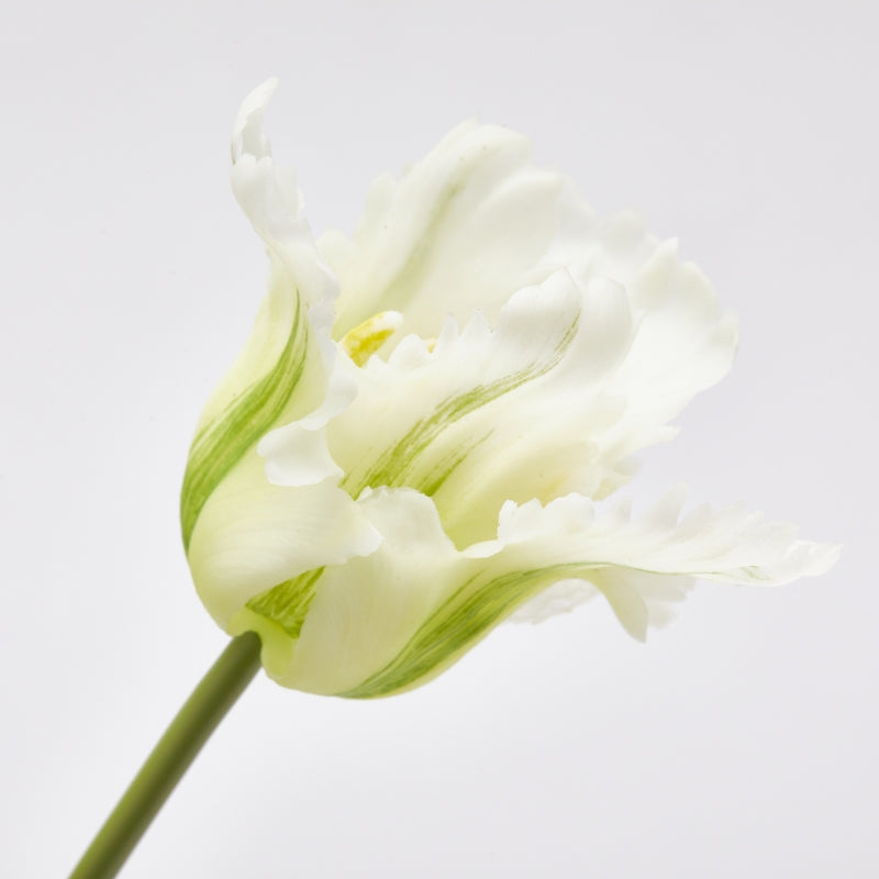 edg enzo de gasperi edg enzo de gasperi bouquet 3 tulipani parrot con foglie artificiali h 51 cm white green ean 8059824443595