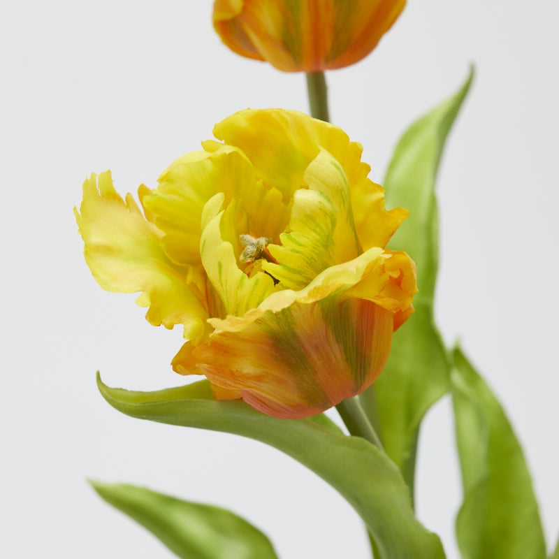 edg enzo de gasperi edg enzo de gasperi bouquet 3 tulipani parrot con foglie artificiali h 51 cm yellow green ean 8059824474292