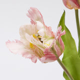 edg enzo de gasperi edg enzo de gasperi bouquet 3 tulipani parrot con foglie artificiali h 51 cm green pink ean 8059824451804