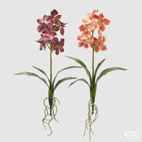 edg enzo de gasperi cespuglio orchidea vanda artificiale con foglio h 70 cm ass orange mix 1 pz ean 8059824475558