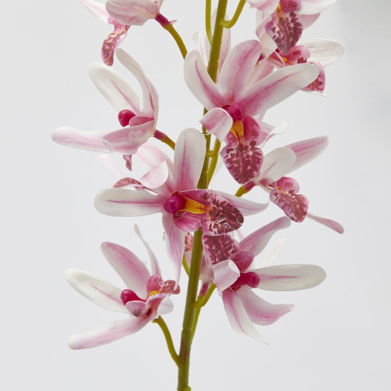 edg enzo de gasperi ramo orchidea cymbidium artificiale h 70 cm ass two tone pink 1 pz ean 8059824483430