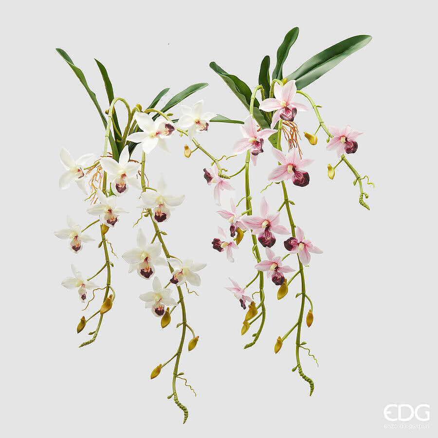 edg enzo de gasperi orchidea dendrobium cadente artificiale h 82 cm con foglie ass white pink 1 pz