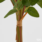 edg enzo de gasperi edg enzo de gasperi mazzo rosa 10 pz con foglie ass h 40 cm bouquet cream 1 pz ean 8059824530929