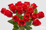edg enzo de gasperi edg enzo de gasperi mazzo rosa con foglie h 40 cm bouquet 18 fiori red ean 8059824531186