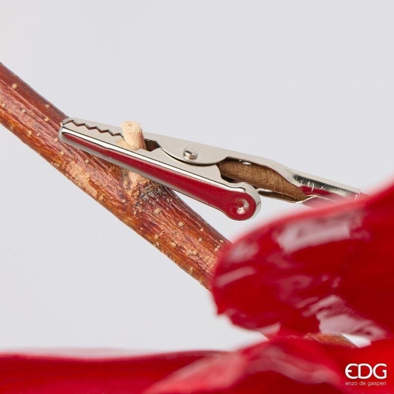 EDG Enzo De Gasperi Magnolia Glossy con Clip Red Ø20 cm – Decorazione di Natale