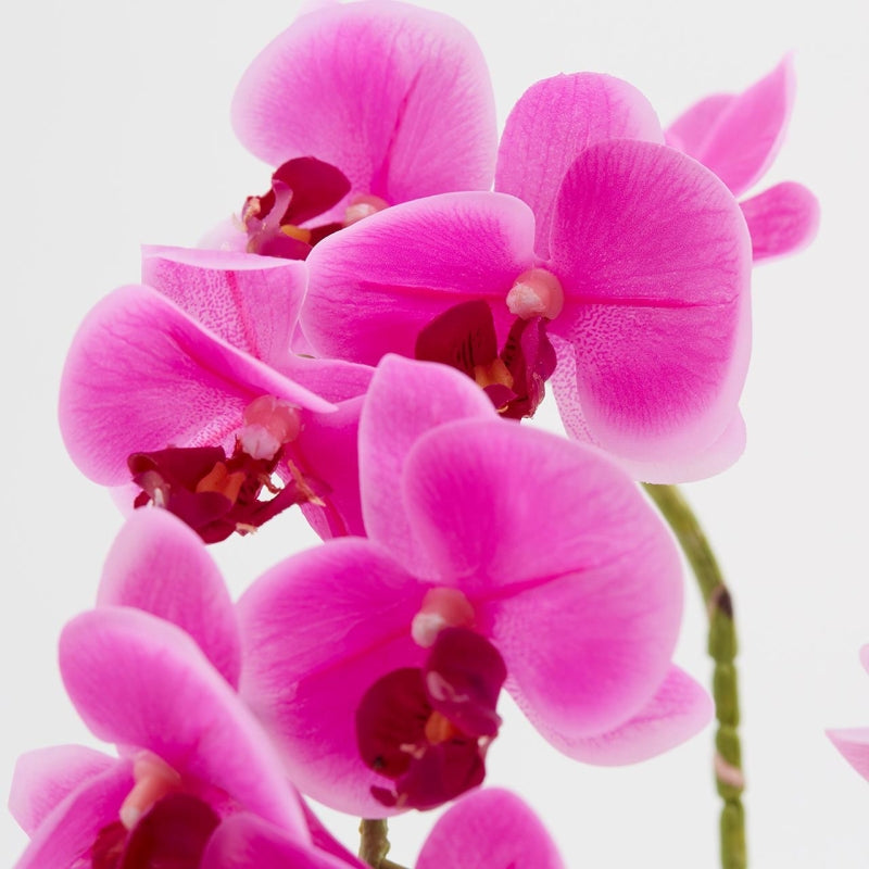 edg enzo de gasperi edg enzo de gasperi orchidea phalaenopsis real ramo artificiale ass h 76 cm fuchsia 1 pz ean 8054184754169