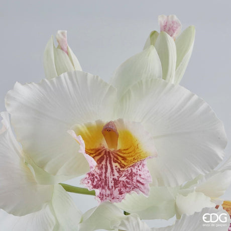 edg enzo de gasperi edg enzo de gasperi orchidea cattleya duke ramo x4 e 2 boccioli artificiale h 43 cm white violet ean 8056372147227