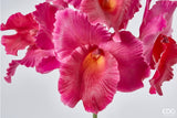 edg enzo de gasperi edg enzo de gasperi orchidea cattleya duke ramo x4 e 2 boccioli artificiale h 43 cm fuchsia ean 8056372147210