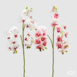 edg enzo de gasperi edg enzo de gasperi orchidea phalaenopsis chic ramo x4 ass artificiale h 90 cm white pink 1 pz ean 8056372152757