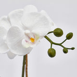 edg enzo de gasperi edg enzo de gasperi orchidea phalaenopsis pianta con vaso e 2 rami artificiale h 55 cm white ean 8056372396700