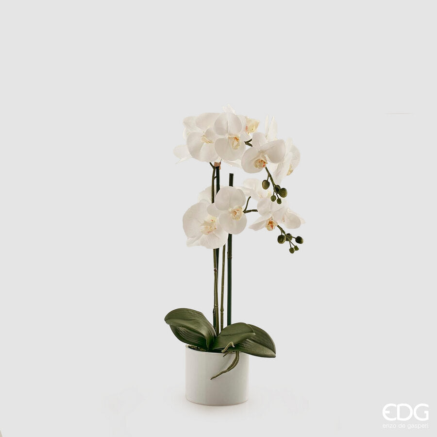 edg enzo de gasperi edg enzo de gasperi orchidea phalaenopsis pianta con vaso e 2 rami artificiale h 55 cm white ean 8056372396700