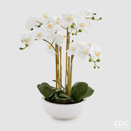 edg enzo de gasperi edg enzo de gasperi orchidea phalaenopsis pianta x6 con vaso artificiale h 64 cm white ean 8056372424854