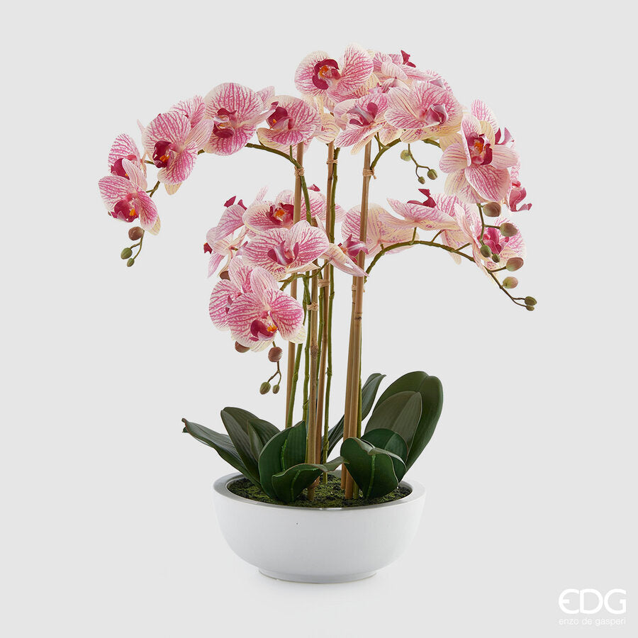 edg enzo de gasperi edg enzo de gasperi orchidea phalaenopsis pianta x6 con vaso artificiale h 64 cm green pink ean 8056372829796