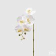 edg enzo de gasperi edg enzo de gasperi orchidea phalaenopsis olis ramo 3d x5 artificiale h 70 cm white ean 8056372972768