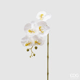 edg enzo de gasperi edg enzo de gasperi orchidea phalaenopsis olis ramo 3d x5 artificiale h 70 cm white ean 8056372972768