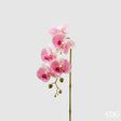 edg enzo de gasperi edg enzo de gasperi orchidea phalaenopsis olis ramo 3d x5 artificiale h 70 cm white pink ean 8056372972782