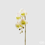edg enzo de gasperi edg enzo de gasperi orchidea phalaenopsis olis ramo 3d x5 artificiale h 70 cm white yellow ean 8056372972805