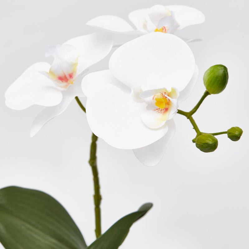 Orchidée Phalaenopsis EDG Enzo De Gasperi avec pot artificiel H 33 cm Blanc