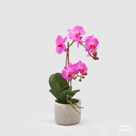 edg enzo de gasperi edg enzo de gasperi orchidea phalaenopsis pianta x2 artificiale con vaso h 42 cm beauty ean 8059824911094