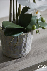 edg enzo de gasperi edg enzo de gasperi orchidea phalaenopsis pianta x3 artificiale con cesto h 48 cm white ean 8059824123688