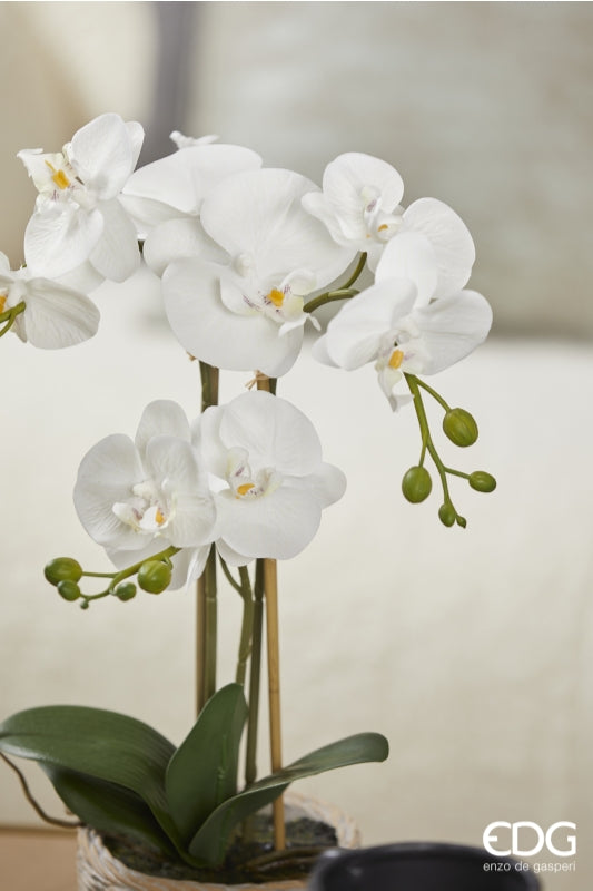 edg enzo de gasperi edg enzo de gasperi orchidea phalaenopsis pianta x3 artificiale con cesto h 48 cm white ean 8059824123688