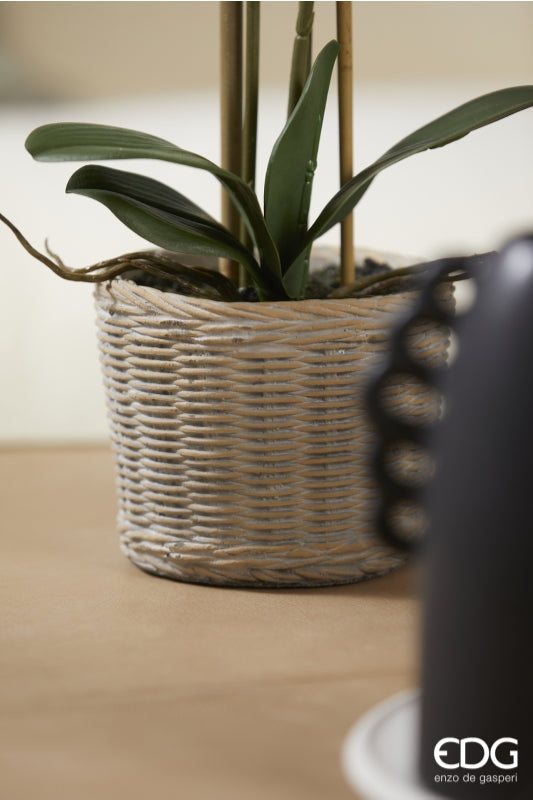 edg enzo de gasperi edg enzo de gasperi orchidea phalaenopsis pianta x2 artificiale con cesto h 40 cm white ean 8059824123701